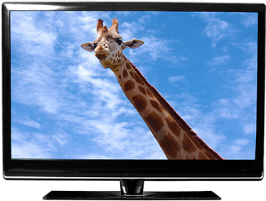Qual è la differenza tra TV LED e TV LCD